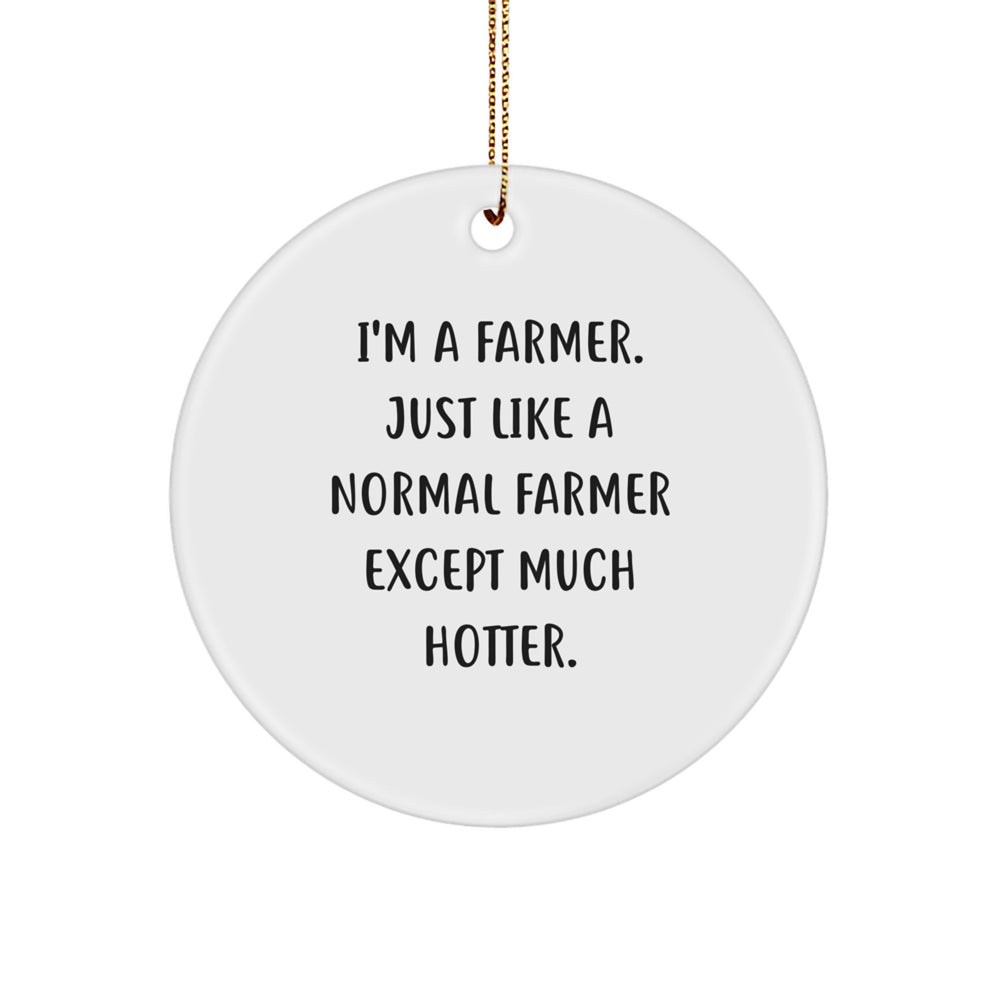 Funny Farmer Circle Ornament Gifts from Friends for Farmer Men on Christmas Unique - Image 1