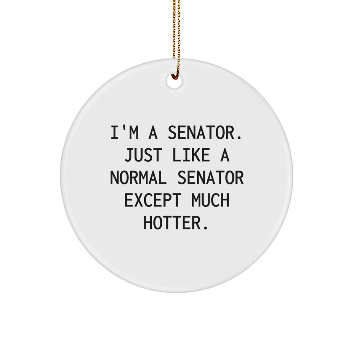 Senator Gifts from Friends - 'I'm A Senator. Just Like A Normal Senator Except Much Hotter.' Funny Circle Ornament for Men, Women, or Coworkers, Christmas Unique Gifts - Image 1