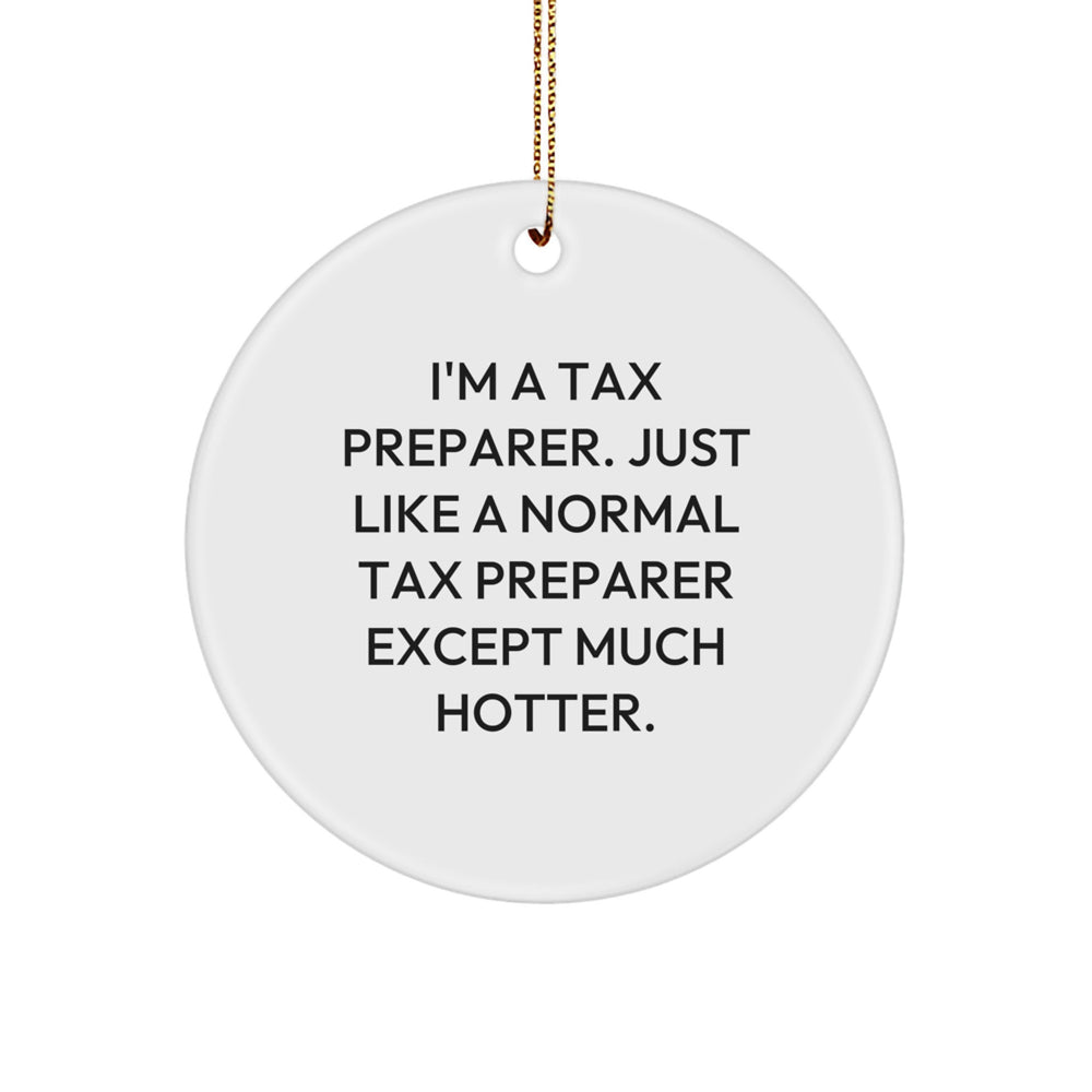Tax Preparer Gifts from Friends - Funny Circle Ornament, 'I'm A Tax Preparer...' - Image 1