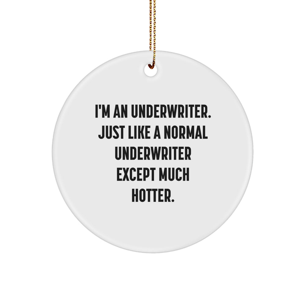 Underwriter Gifts: Funny Circle Ornament for Men from Friends, Coworkers, or Family - 'I'm An Underwriter. Just Like A Normal Underwriter Except Much Hotter.' - Image 1
