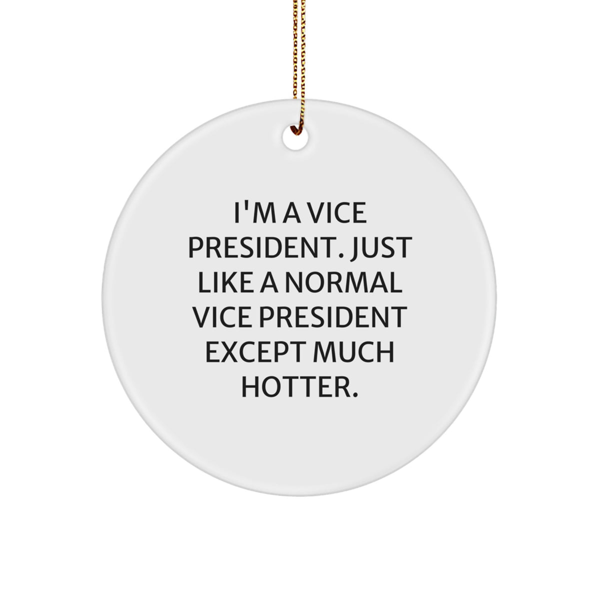 Vice President Gifts from Friends, Funny Circle Ornament for Men, Unique Christmas Decorations, 'I'm A Vice President. Just Like A Normal Vice President Except Much Hotter.' Quote - Image 1