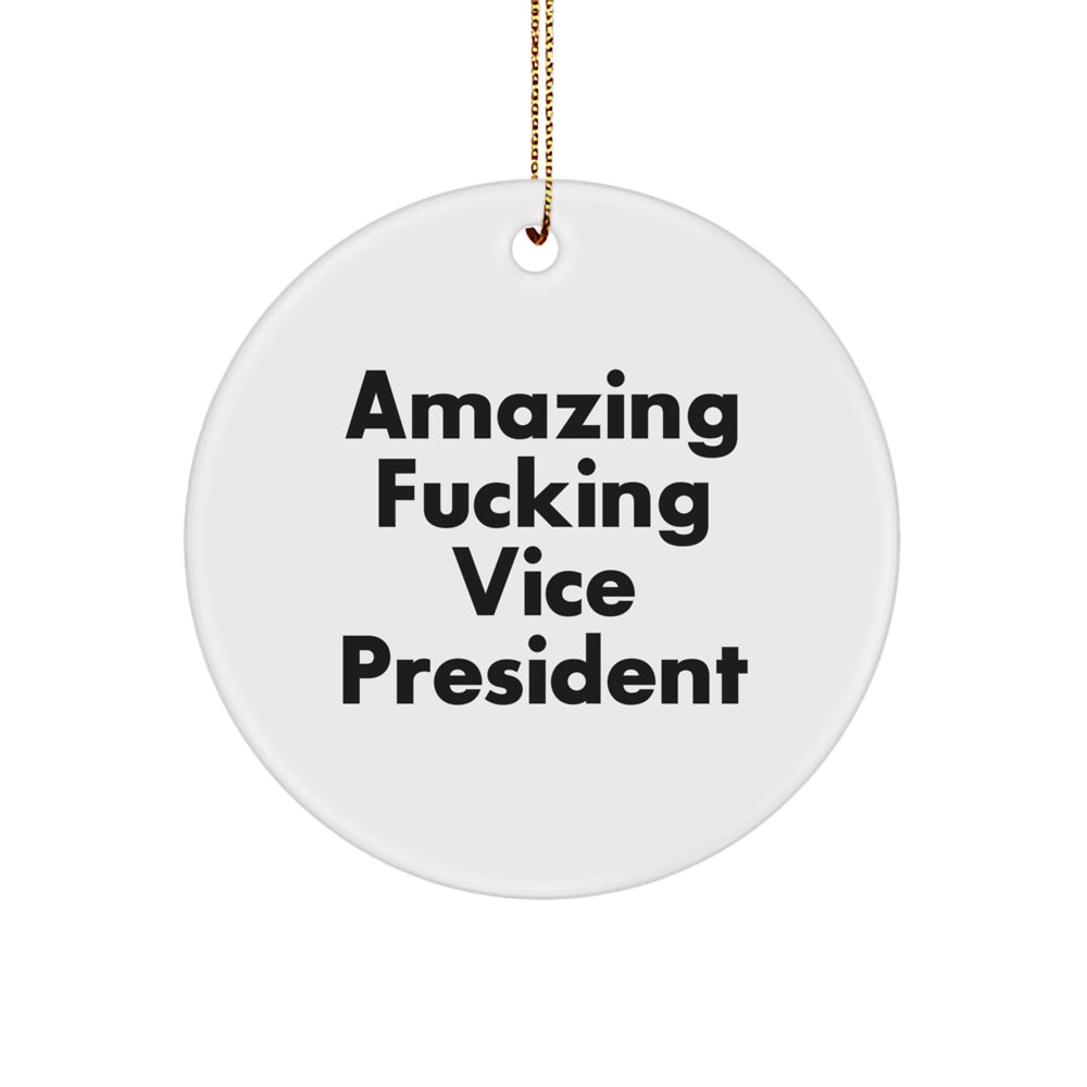 Funny Vice President Gifts for Men, Vice President Circle Ornament, Amazing F--king Vice President Christmas Unique Gifts from Friends - Image 1