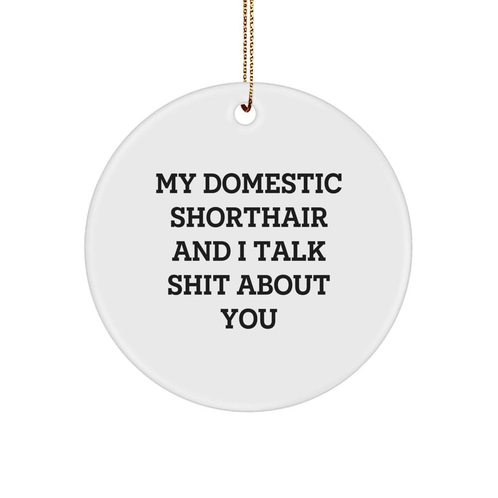 Domestic Shorthair Cat Gifts, Funny Quote Circle Ornament, 'My Domestic Shorthair And I Talk Shit About You', Christmas Unique Gifts from Friends to Family - Image 1