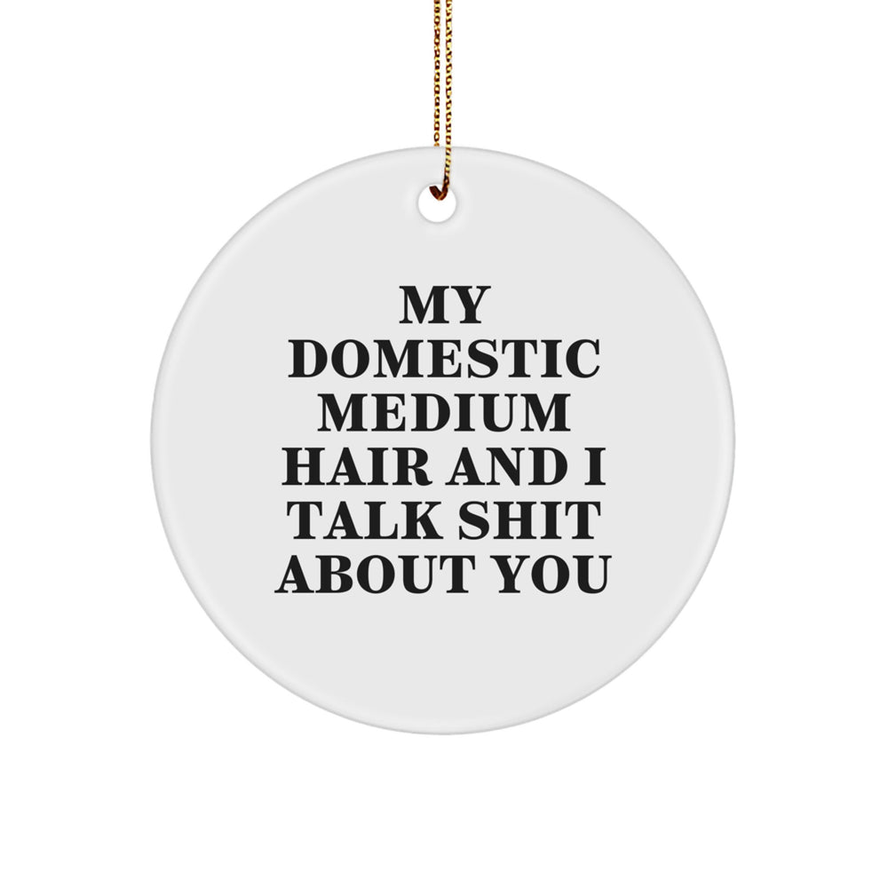 Funny Domestic Medium Hair Cat Gifts for Men from Friends, Christmas Unique Circle Ornament with Quote 'My Domestic Medium Hair And I Talk Shit About You', Perfect for Stress-Free Decorating - Image 1