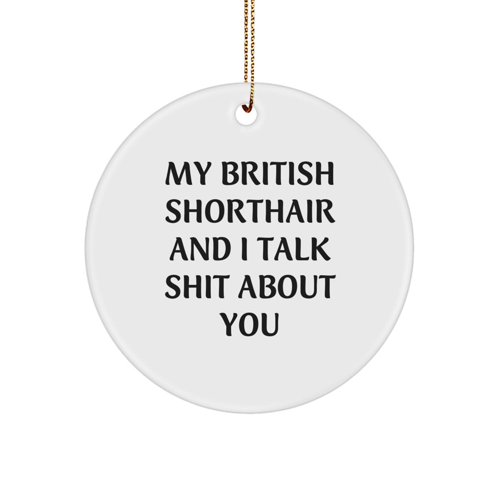 Funny British Shorthair Cat Circle Ornament, Gifts from Friends to Family, Inspirational Quote, White, Christmas Unique Gifts - Image 1