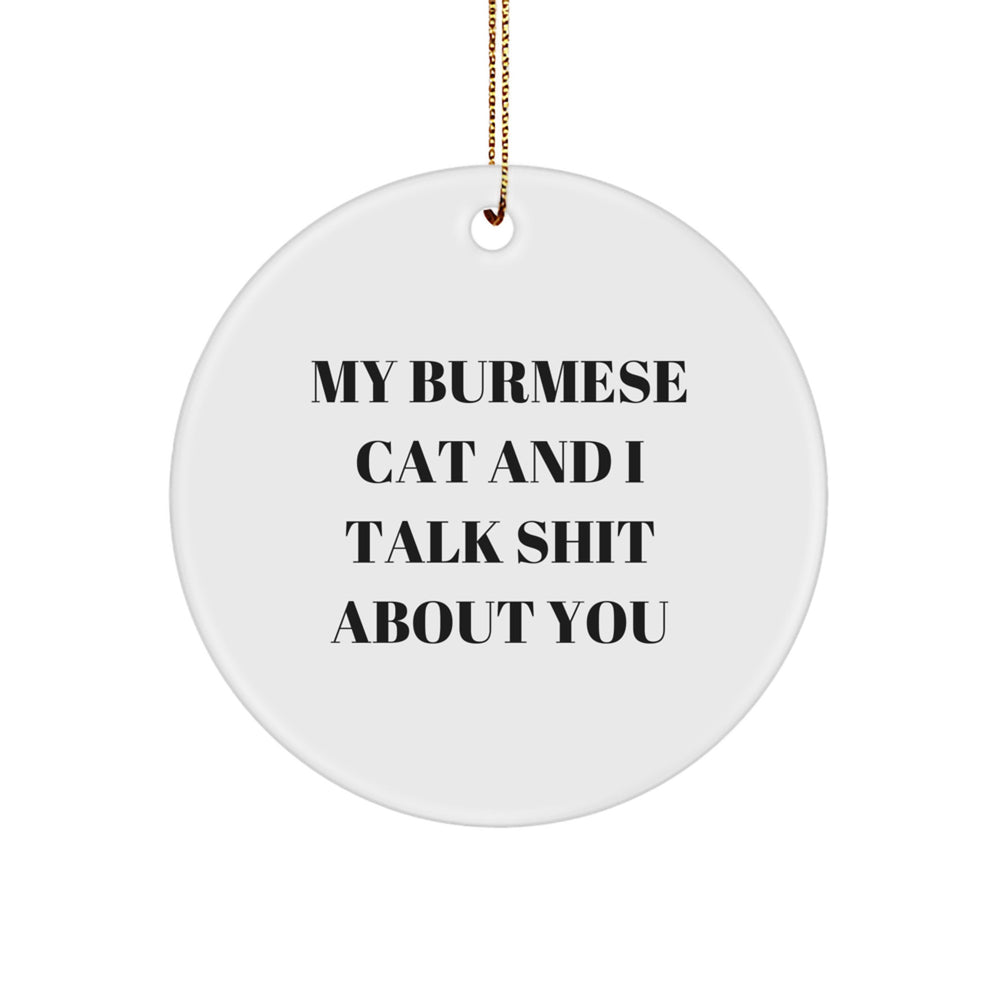 Funny Burmese Cat Gifts for Men from Women, Unique Circle Ornament Quote 'My Burmese Cat And I Talk Shit About You' for Christmas - Image 1