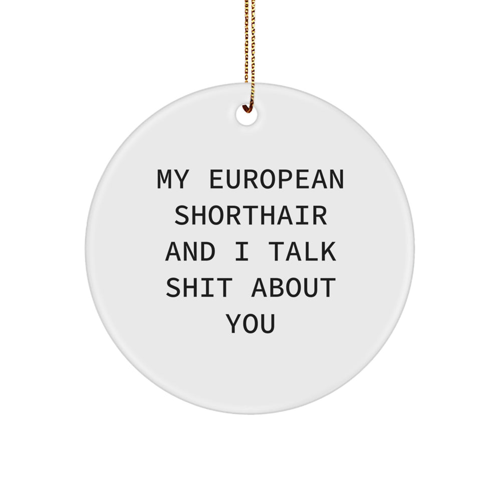 European Shorthair Cat Gifts, Funny Circle Ornament for Men or Women, 'My European Shorthair And I Talk Shit About You' Quote, Christmas Unique Gifts from Friends or Family - Image 1