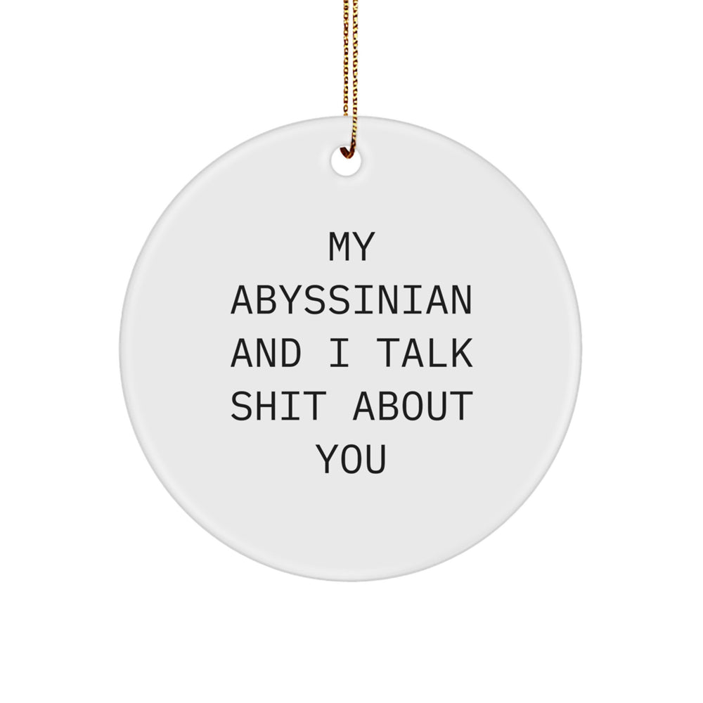 Funny Abyssinian Cat Gifts from Friends for Christmas - Circle Ornament with My Abyssinian And I Talk Shit About You Quote - Image 1
