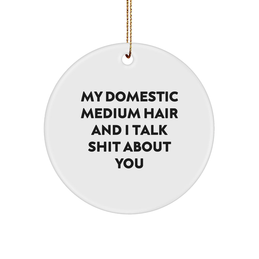 Funny Circle Ornament for Domestic Medium Hair, Gifts from Men to Family, 'My Domestic Medium Hair And I Talk Shit About You' Quote, Circle Shaped, White, MDF, Sublimation, Christmas Unique Gifts - Image 1