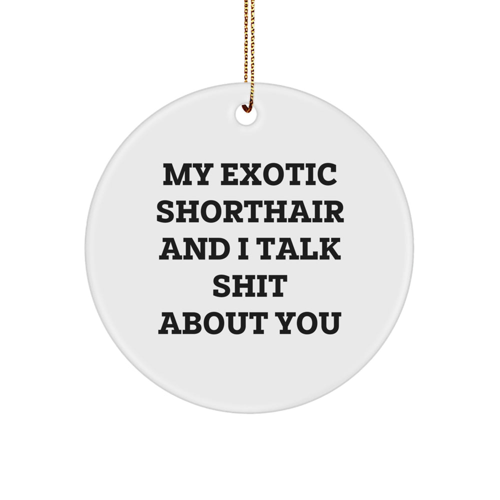Exotic Shorthair Cat Lovers' Funny Circle Ornament Gifts from Friends for Christmas - Image 1