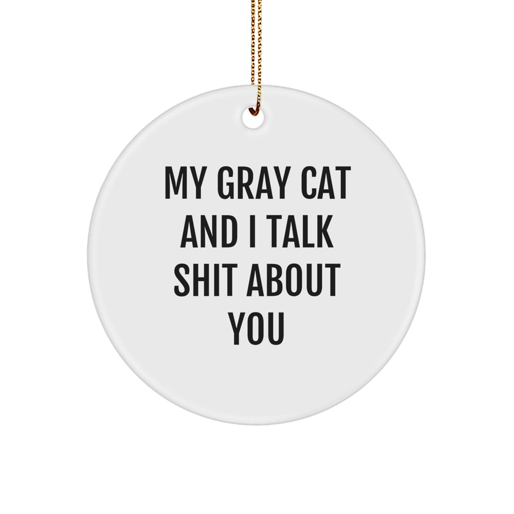 Funny Gray Cat Gifts from Family Friends - Circle Ornament for Christmas Unique Presents - Image 1