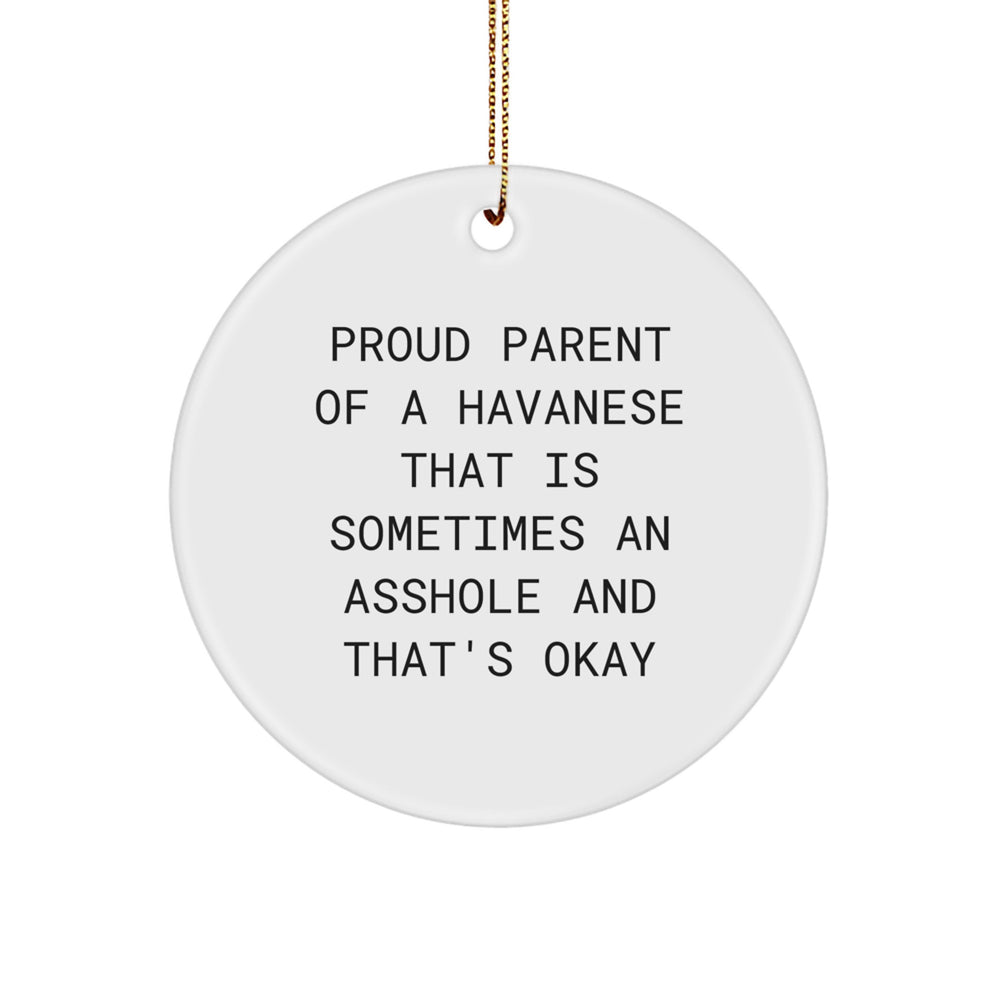 Funny Havanese Dog Circle Ornament, Gifts from Friends, Family or Coworkers for Christmas Unique Gifts - Image 1