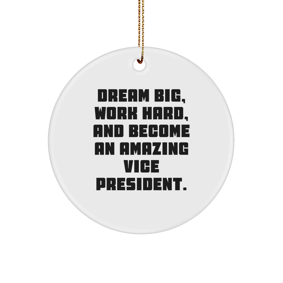 Funny Vice President Circle Ornament, Gift for Men, Women, Coworkers, Gifts from Friends, 'Dream Big, Work Hard, And Become An Amazing Vice President. - Image 1