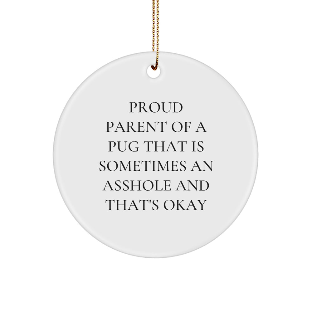 Funny Pug Dog Lover Gifts from Friends for Christmas - Circle Ornament with Proud Quote - Image 1