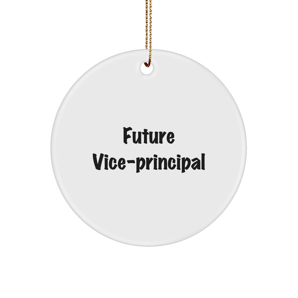 Funny Vice Principal Gifts for Men, Vice Principal Circle Ornament, Christmas Unique Gifts from Friends for Vice Principal - Image 1