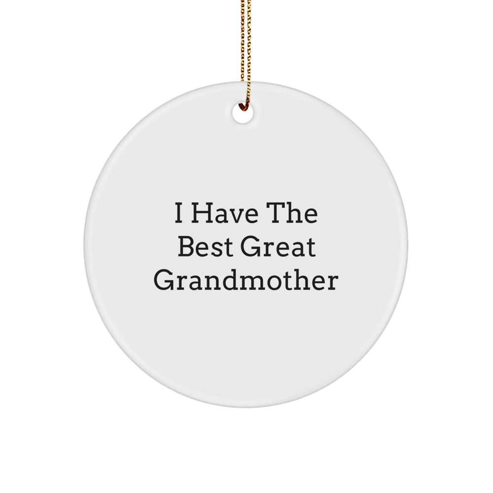 Funny Grandmother Gifts from Family - I Have The Best Great Grandmother Circle Ornament for Christmas - Image 1