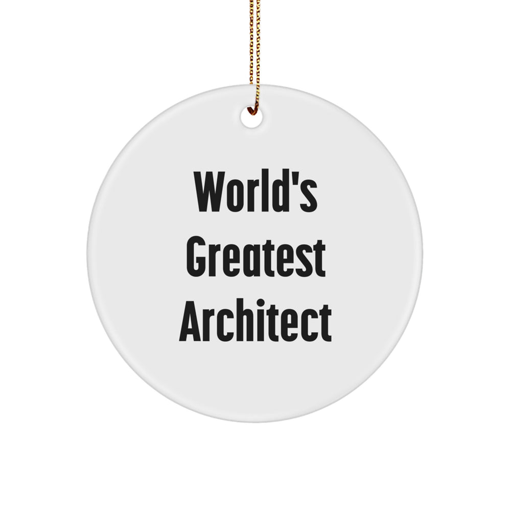 Funny Architect Gifts from Friends and Family for the World's Greatest Architect Circle Ornament - Image 1