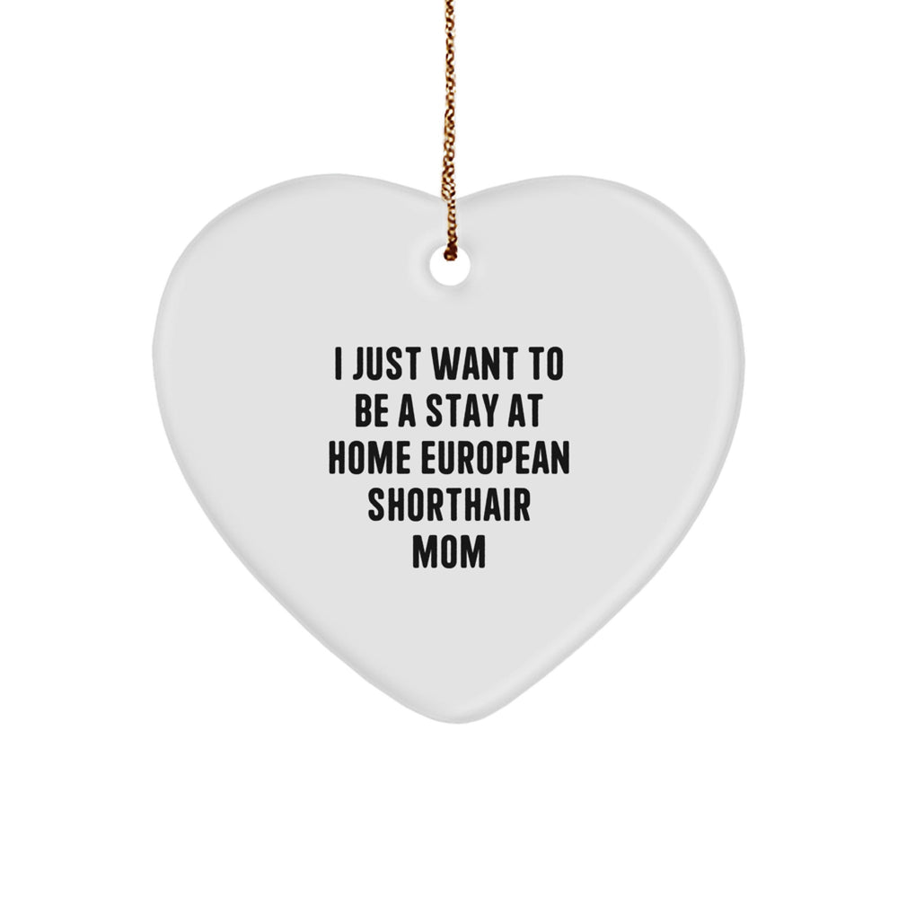Funny European Shorthair Cat Mom Gifts from Friends for Christmas Unique Heart Ornaments - Image 1