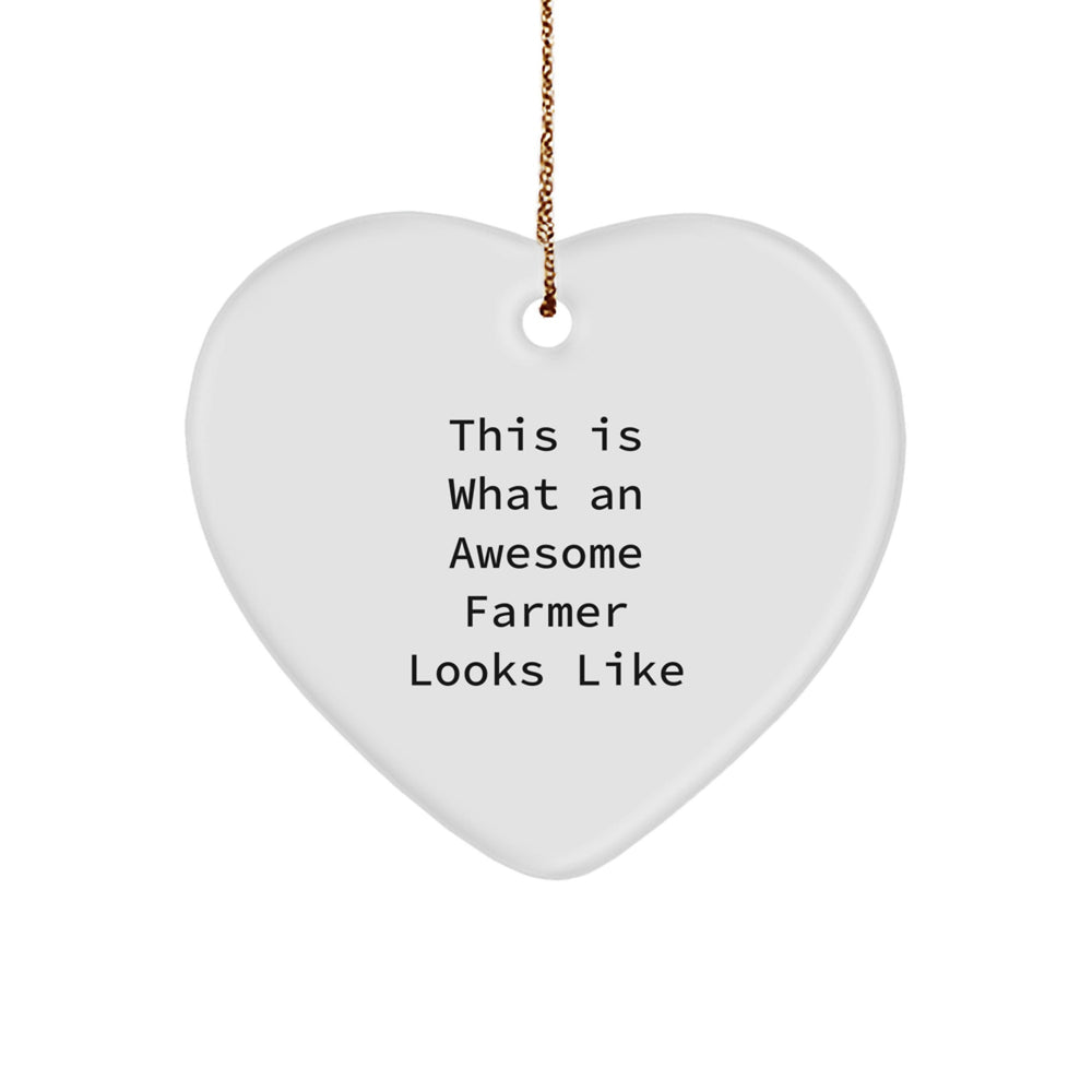 Funny Farmer Gifts from Friends to Awesome Farmers - This Is What An Awesome Farmer Looks Like, Heart Ornament, Christmas Unique Gifts - Image 1