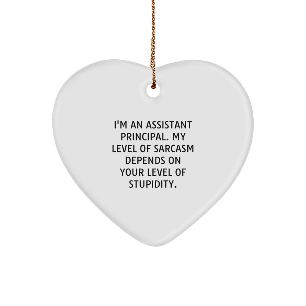 Funny Assistant Principal Heart Ornament, Ideal Gift for Men, from Coworkers, Christmas Unique Gifts, 'I'm Sarcastic Too' Quote - Image 1