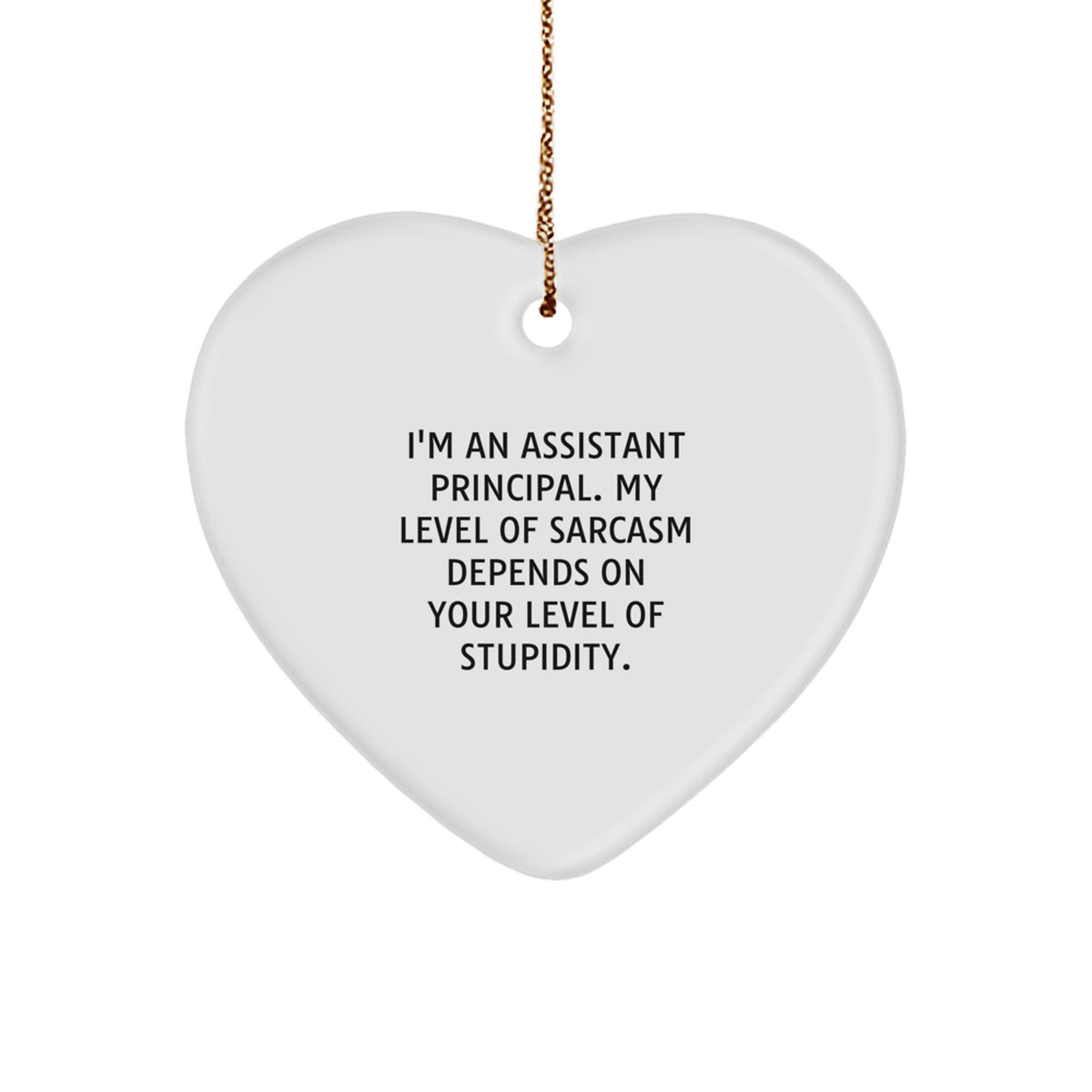 Funny Assistant Principal Heart Ornament, Ideal Gift for Men, from Coworkers, Christmas Unique Gifts, 'I'm Sarcastic Too' Quote - Image 1