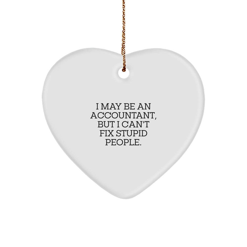 Funny Accountant Heart Ornament Gifts from Men to Coworkers, Stupid People Quote Christmas Unique Gifts - Image 1