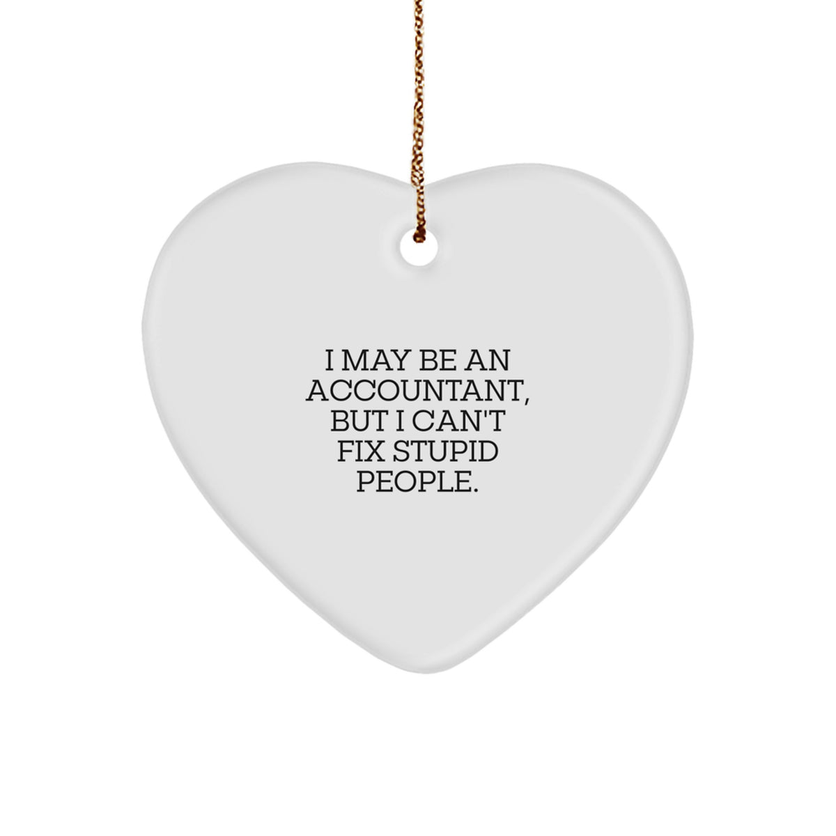 Funny Accountant Heart Ornament Gifts from Men to Coworkers, Stupid People Quote Christmas Unique Gifts - Image 1