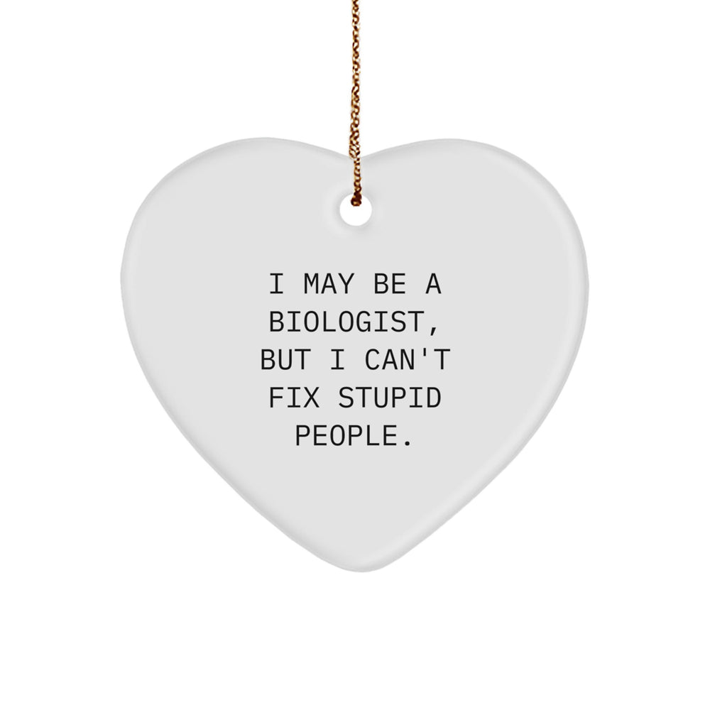 Funny Biologist Gifts for Men Women Friends Coworkers - I May Be A Biologist But I Can't Fix Stupid People Heart Ornament - Unique Christmas Unique Gifts from Family - Image 1