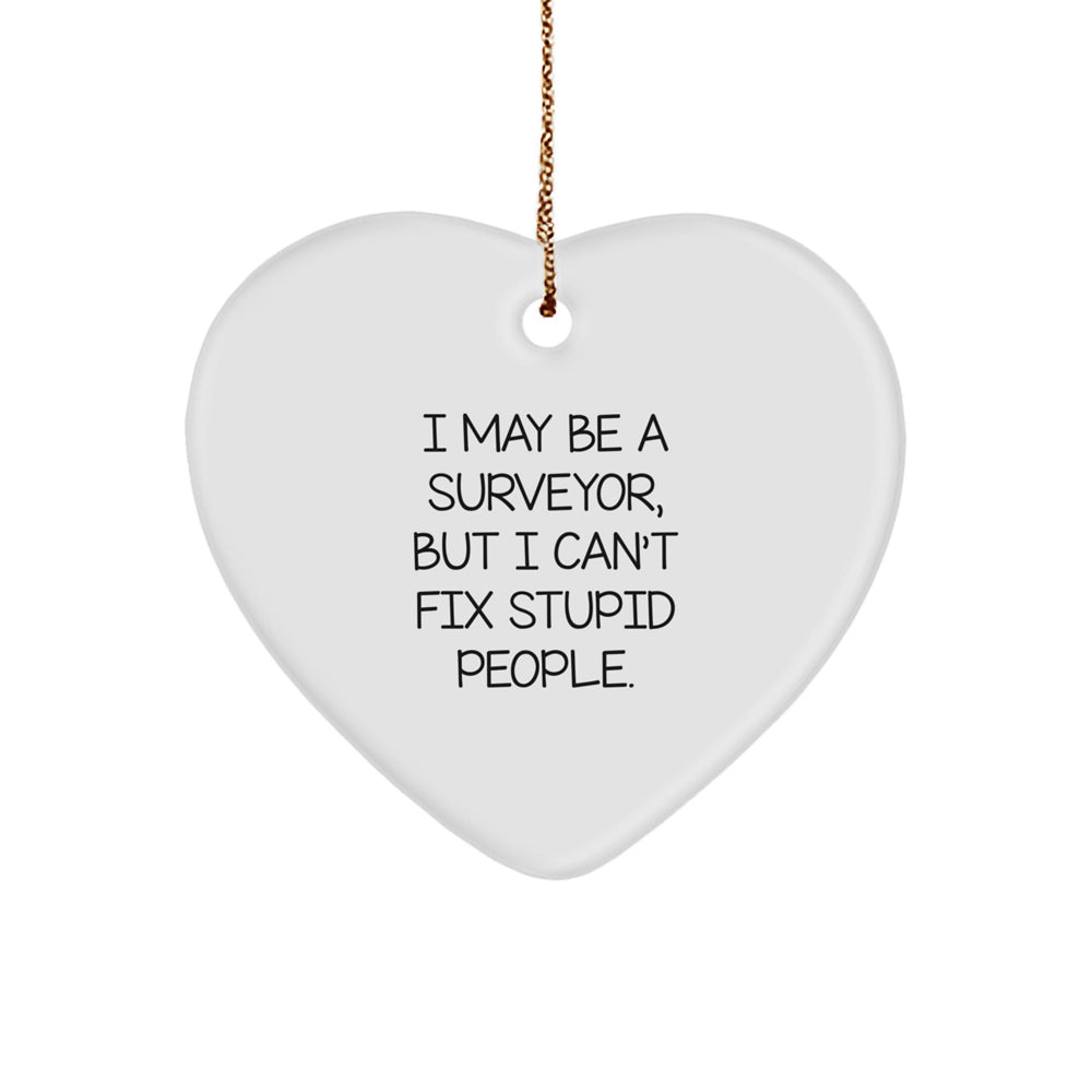 Funny Surveyor Heart Ornament Gifts from Friends for Men - 'I May Be A Surveyor, But I Can't Fix Stupid People' Christmas Unique Gifts - Image 1