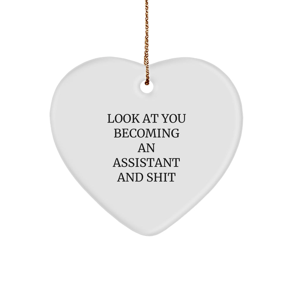 Funny Assistant Gifts from Friends to Coworkers - Heart Ornament with Quote 'Look At You Becoming An Assistant And Shit' - Christmas Unique Gifts for Men Women - Image 1