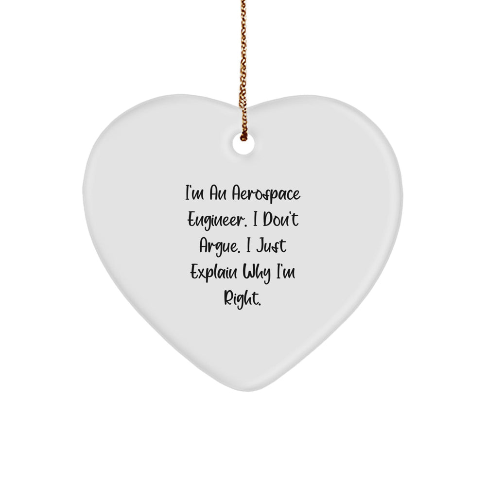 Funny Aerospace Engineer Gifts from Men to Women Coworkers - I Don't Argue Heart Ornament for Christmas Unique Gifts - Image 1