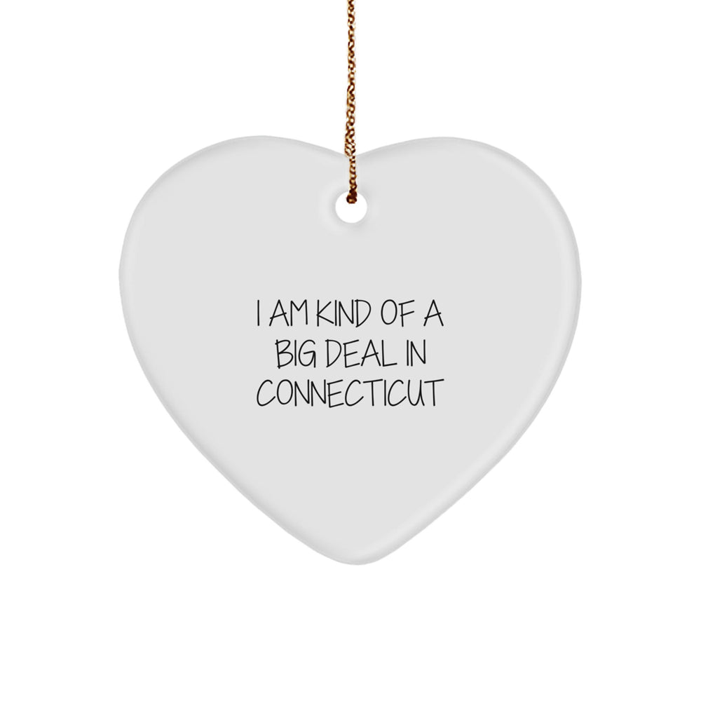 Kind of a Prime Selection Connecticut Heart Ornament, Funny Quote Gifts from Friends for Family, 2.75'' Tall, White Color, Perfect for Christmas - Image 1