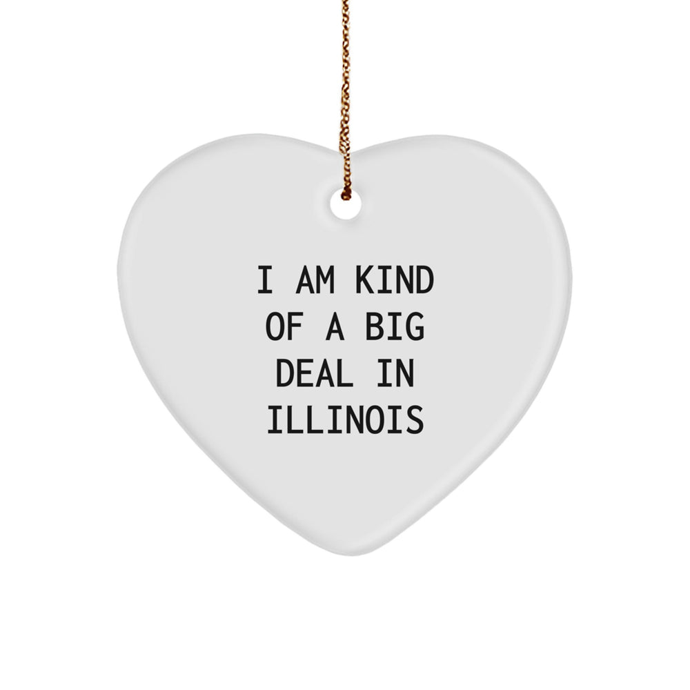 Funny Illinois Heart Ornament Gifts from Friends for Illinois Lovers - I Am Kind Of A Prime Selection In Illinois - Image 1