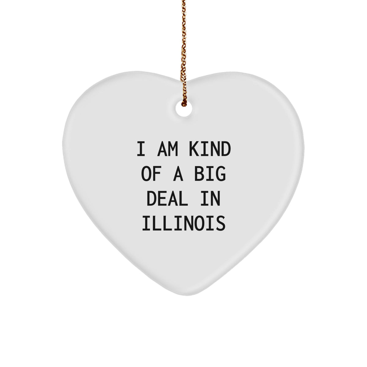 Funny Illinois Heart Ornament Gifts from Friends for Illinois Lovers - I Am Kind Of A Prime Selection In Illinois - Image 1