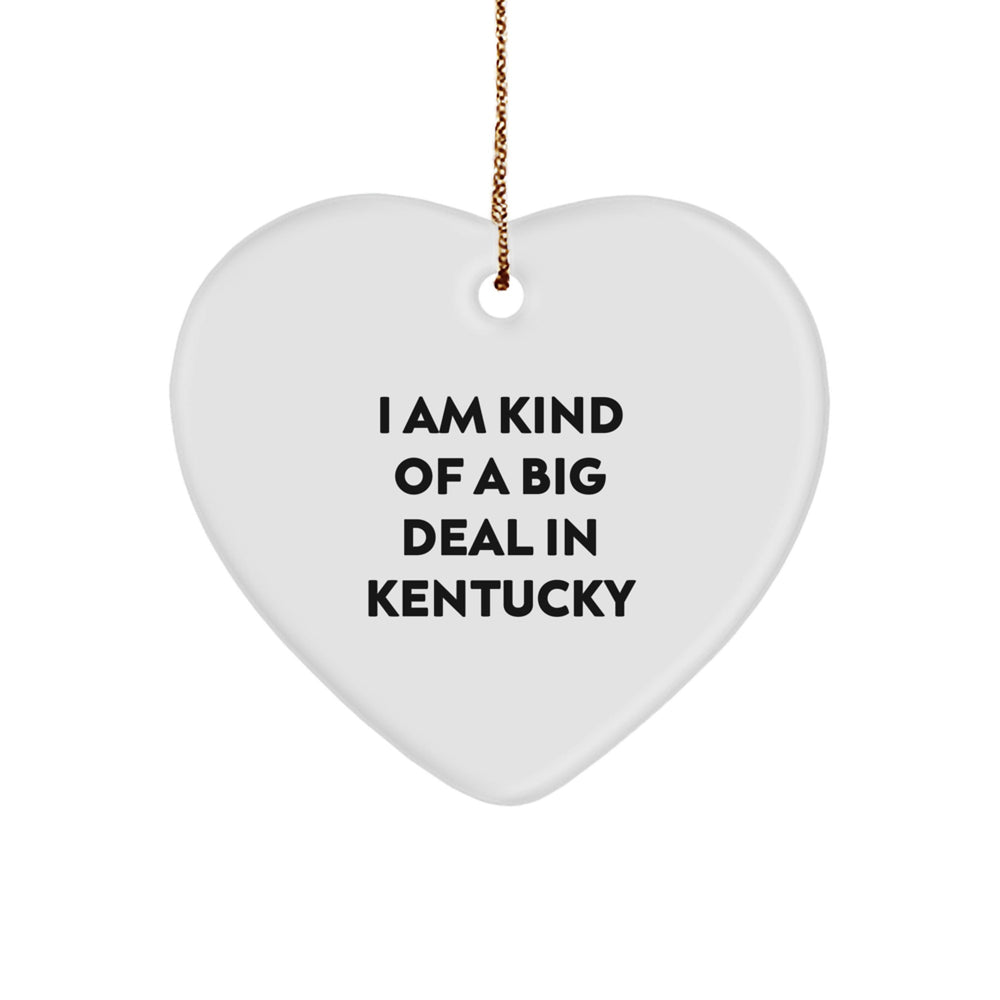 Funny Kentucky Gifts from Friends I Am Kind Of A Prime Selection In Kentucky Heart Ornament for Kentucky Men Women Family - Image 1