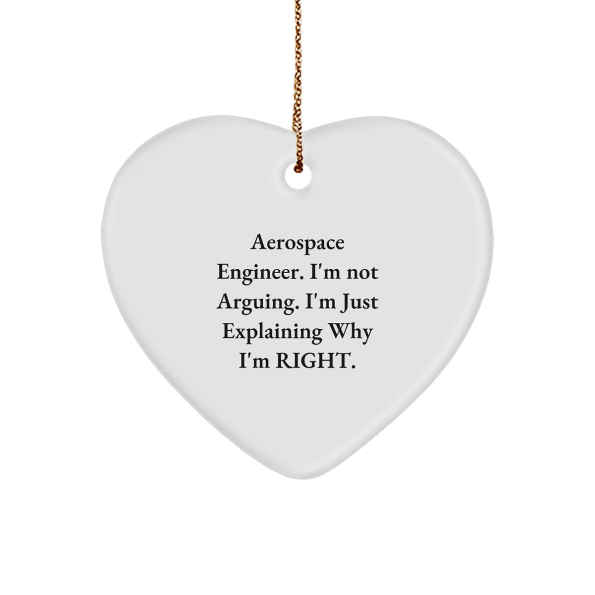 Funny Aerospace Engineer Gifts from Friends, Heart Ornaments for Aerospace Engineer Men, Christmas Unique Ornaments, ''I'm Not Arguing. I'm Just Explaining Why I'm Right.'' - Image 1