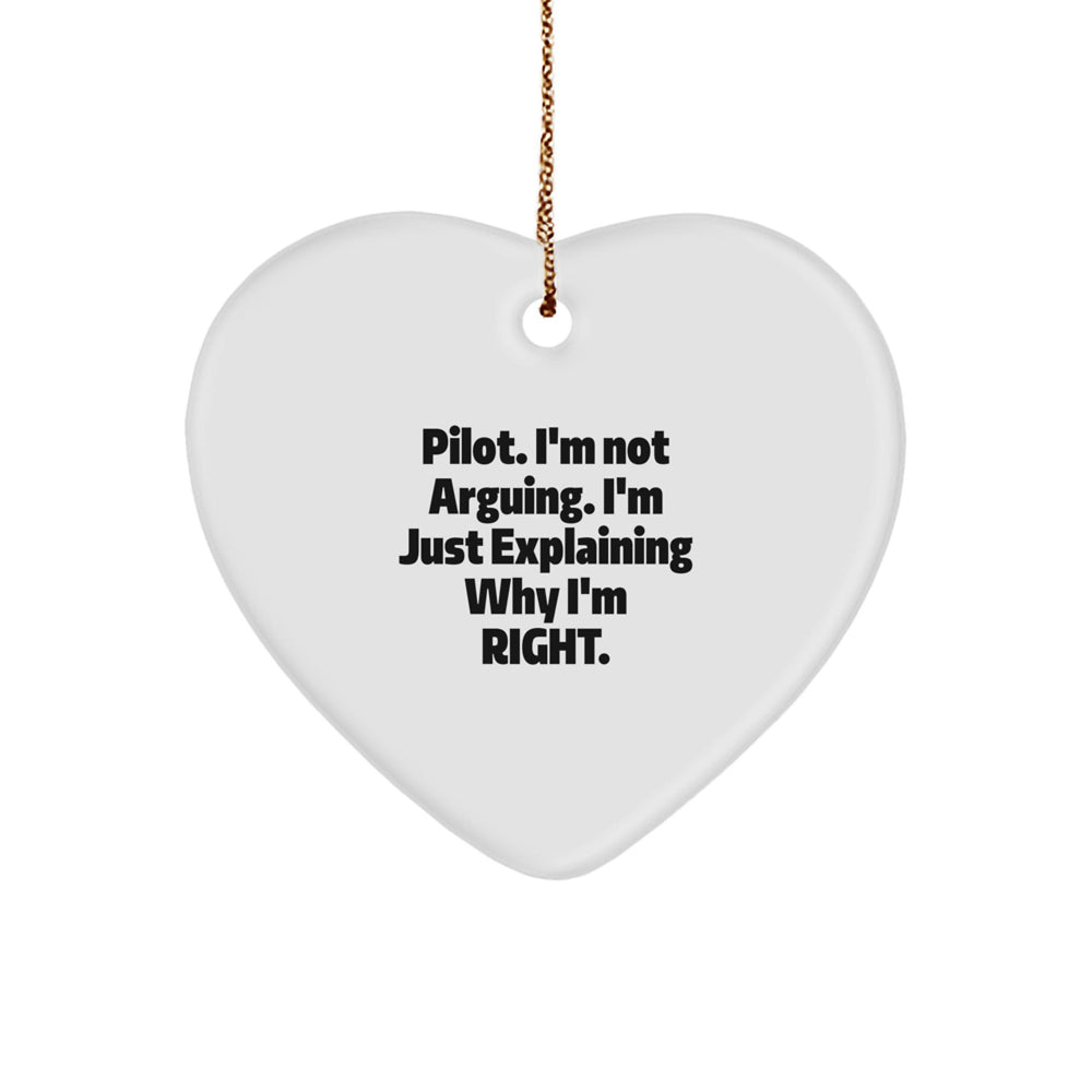 Funny Pilot Heart Ornament Gifts from Men for Husband, Unique Gifts for Pilot Friends, Christmas Unique Gifts for Pilot Lovers - Image 1