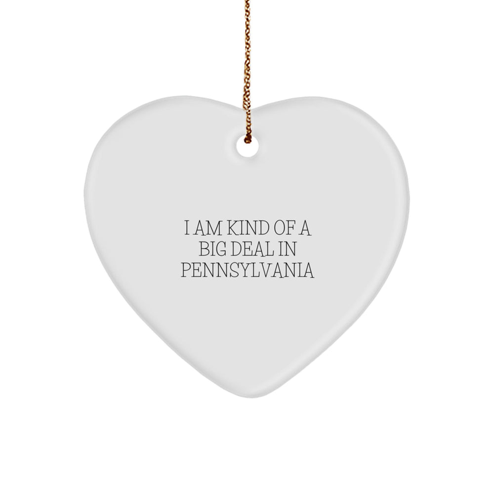 Pennsylvania Heart Ornament, 'I Am Kind Of A Prime Selection In Pennsylvania' Funny Quote, Christmas Unique Gift for Men, Women, or Friends, Lightweight, Durable, and Vibrantly Printed - Image 1