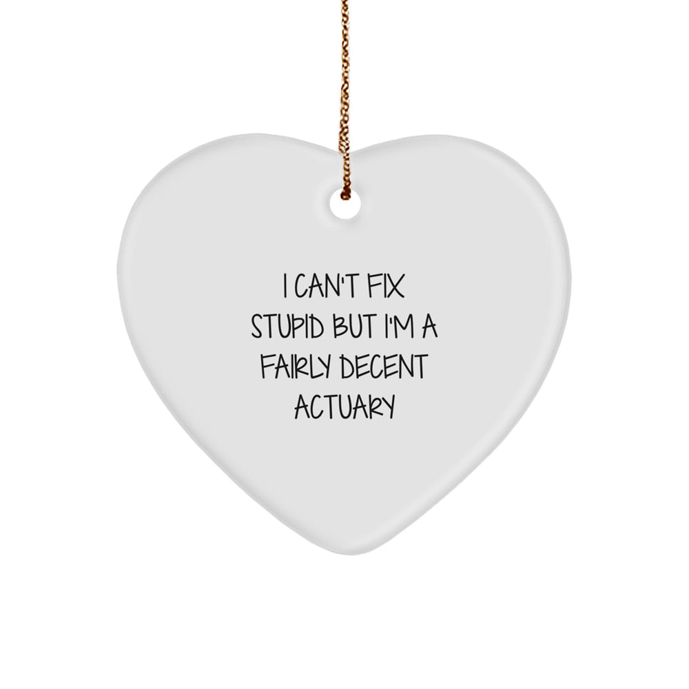 Funny Actuary Gifts for Friends, Christmas Unique Heart Ornament with 'I Can't Fix Stupid But I'm A Fairly Decent Actuary' Quote, Gifts from Men to Colleagues - Image 1