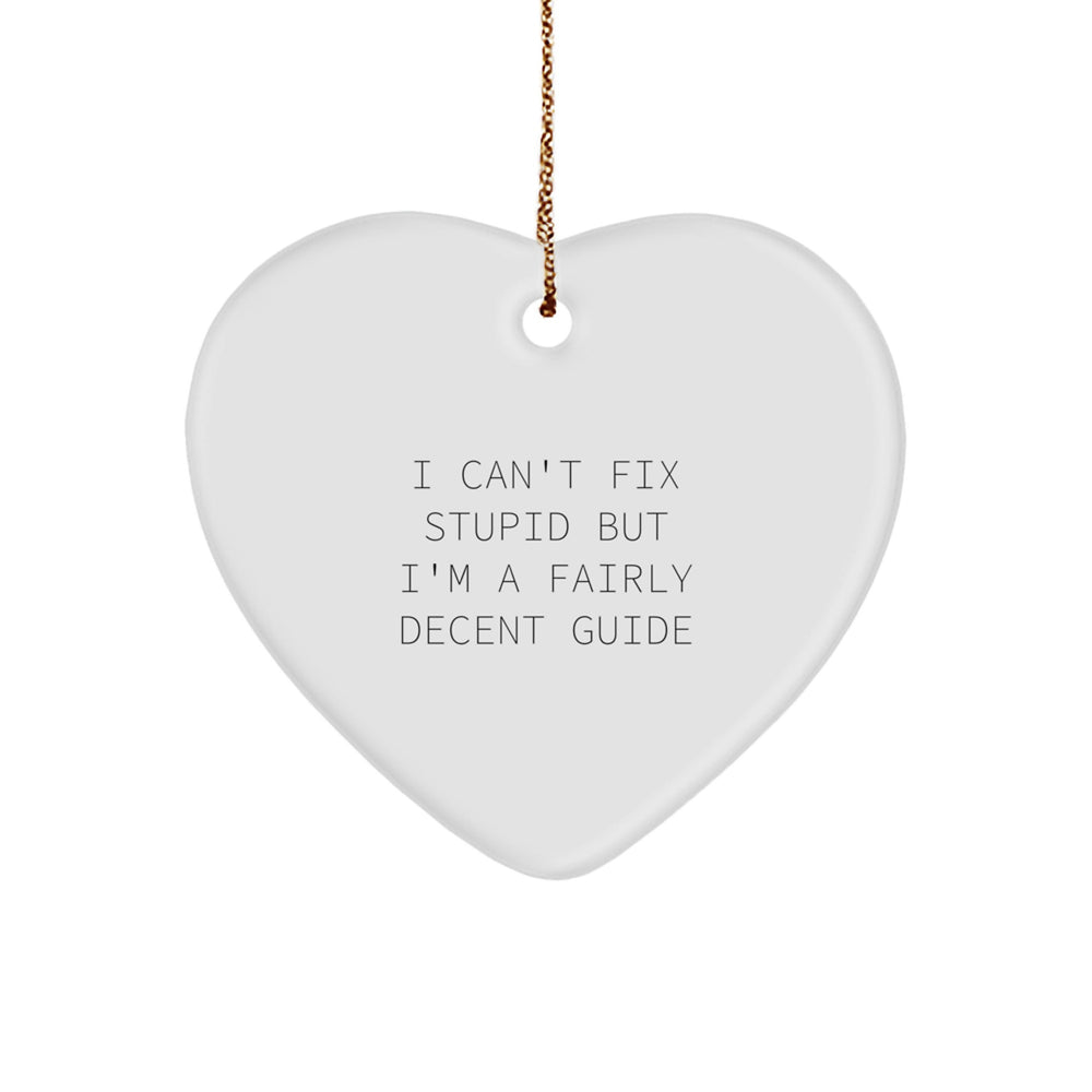 Funny Guide Gifts for Friends, Guide Heart Ornament, I Can't Fix Stupid But I'm A Fairly Decent Guide Christmas Unique Gifts from Family - Image 1