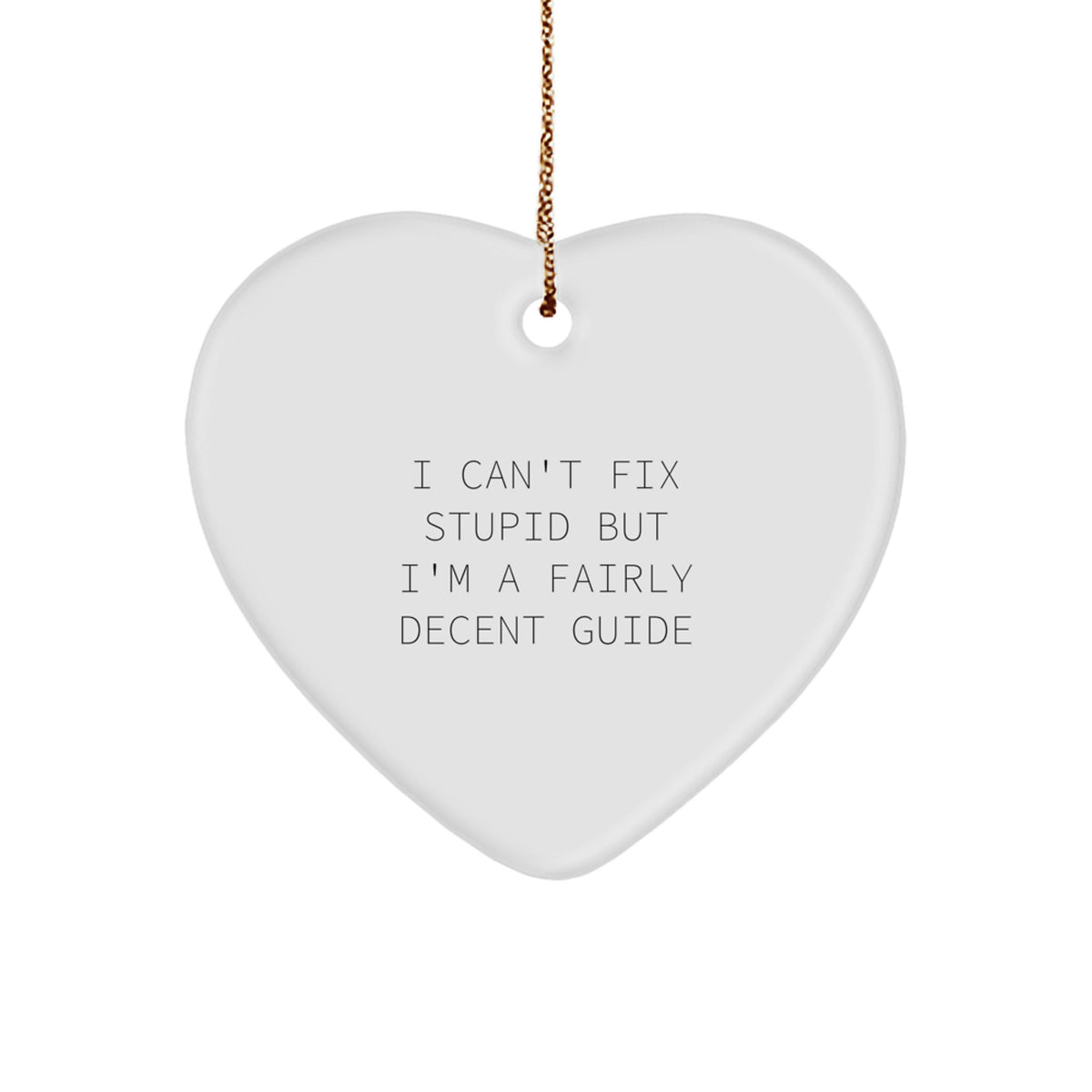 Funny Guide Gifts for Friends, Guide Heart Ornament, I Can't Fix Stupid But I'm A Fairly Decent Guide Christmas Unique Gifts from Family - Image 1