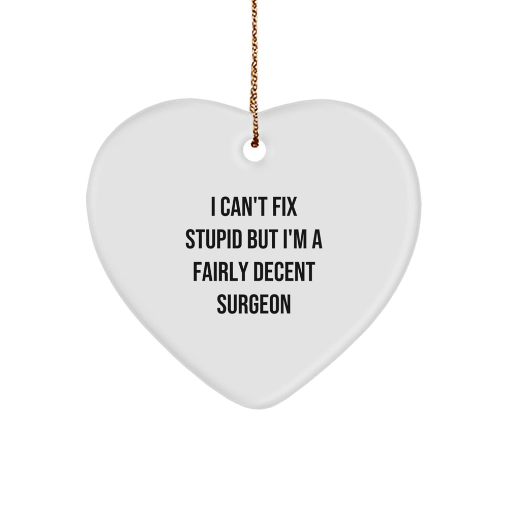 Funny Surgeon Gifts from Men for Surgeons with Heart Ornament I Can't Fix Stupid Quote - Image 1