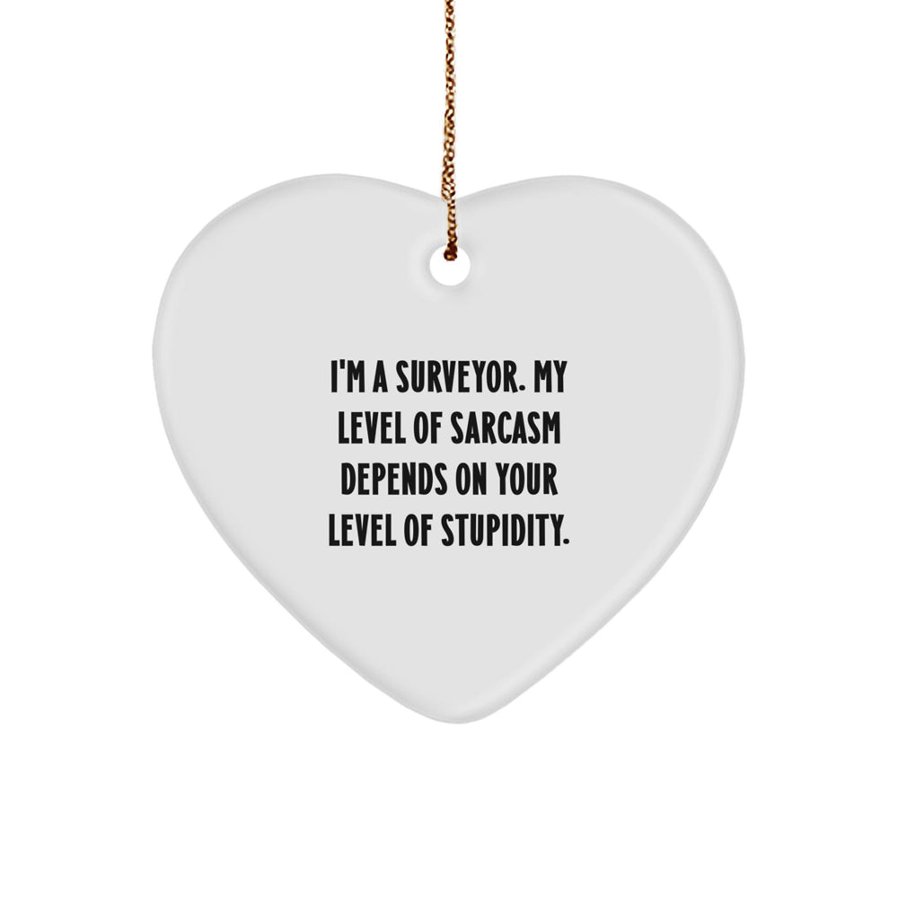 Funny Surveyor Gifts for Him, Unique Christmas Unique Gifts from Friends to Family, Heart Ornament with I'm A Surveyor - Image 1
