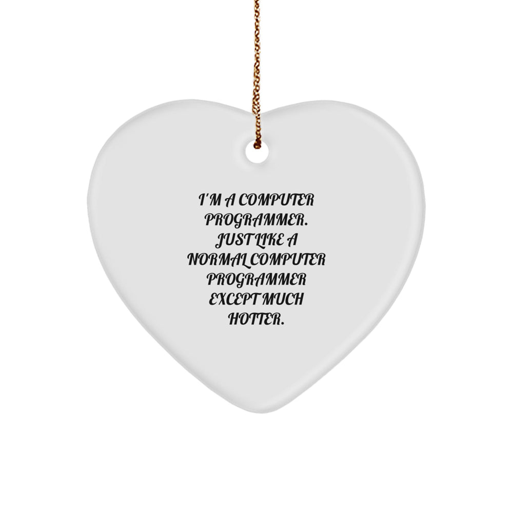 Computer Programmer Heart Ornament, Funny Quote Gifts from Men to Coworkers, Christmas Unique Gifts for Friends and Family - Image 1