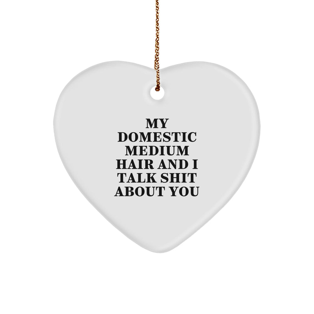 Funny Domestic Medium Hair Cat Gifts for Men, Heart Ornament from Women, 'My Domestic Medium Hair And I Talk Shit About You' Quote, Perfect for Christmas Unique Gifts - Image 1