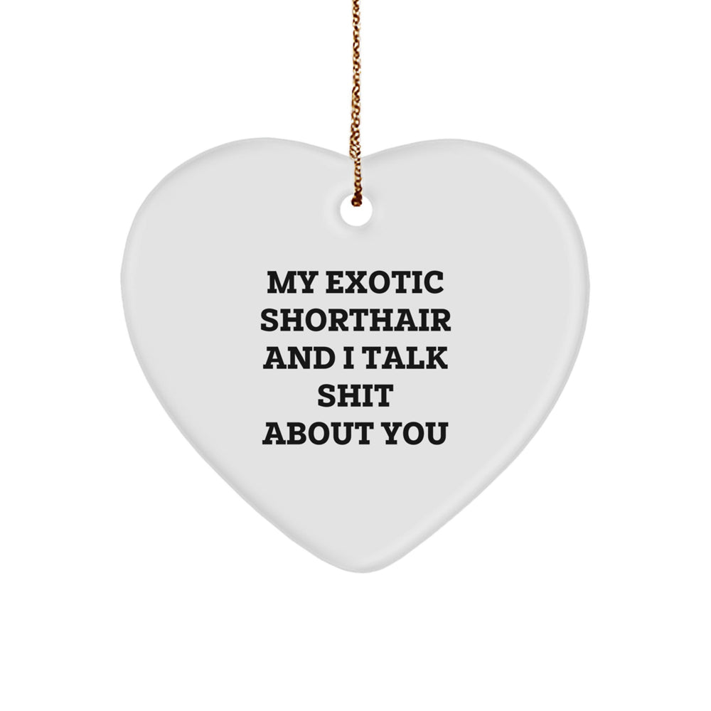 Funny Exotic Shorthair Cat Gifts, Heart Ornament with 'My Exotic Shorthair And I Talk Shit About You' Quote, Christmas Unique Presents from Family Friends Coworkers - Image 1