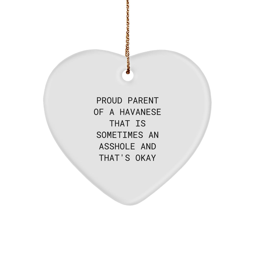 Funny Havanese Dog Heart Ornaments Gifts from Men to Family Members and Friends for Christmas Unique - Image 1