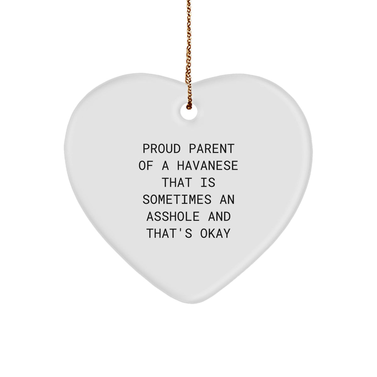 Funny Havanese Dog Heart Ornaments Gifts from Men to Family Members and Friends for Christmas Unique - Image 1