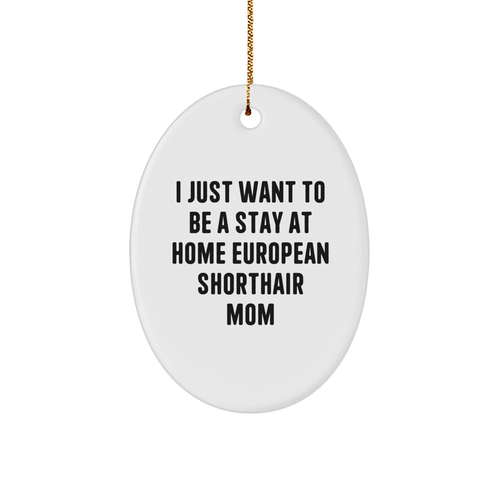 European Shorthair Cat Moms' Funny Christmas Unique Gifts from Friends for Home Decor - Image 1