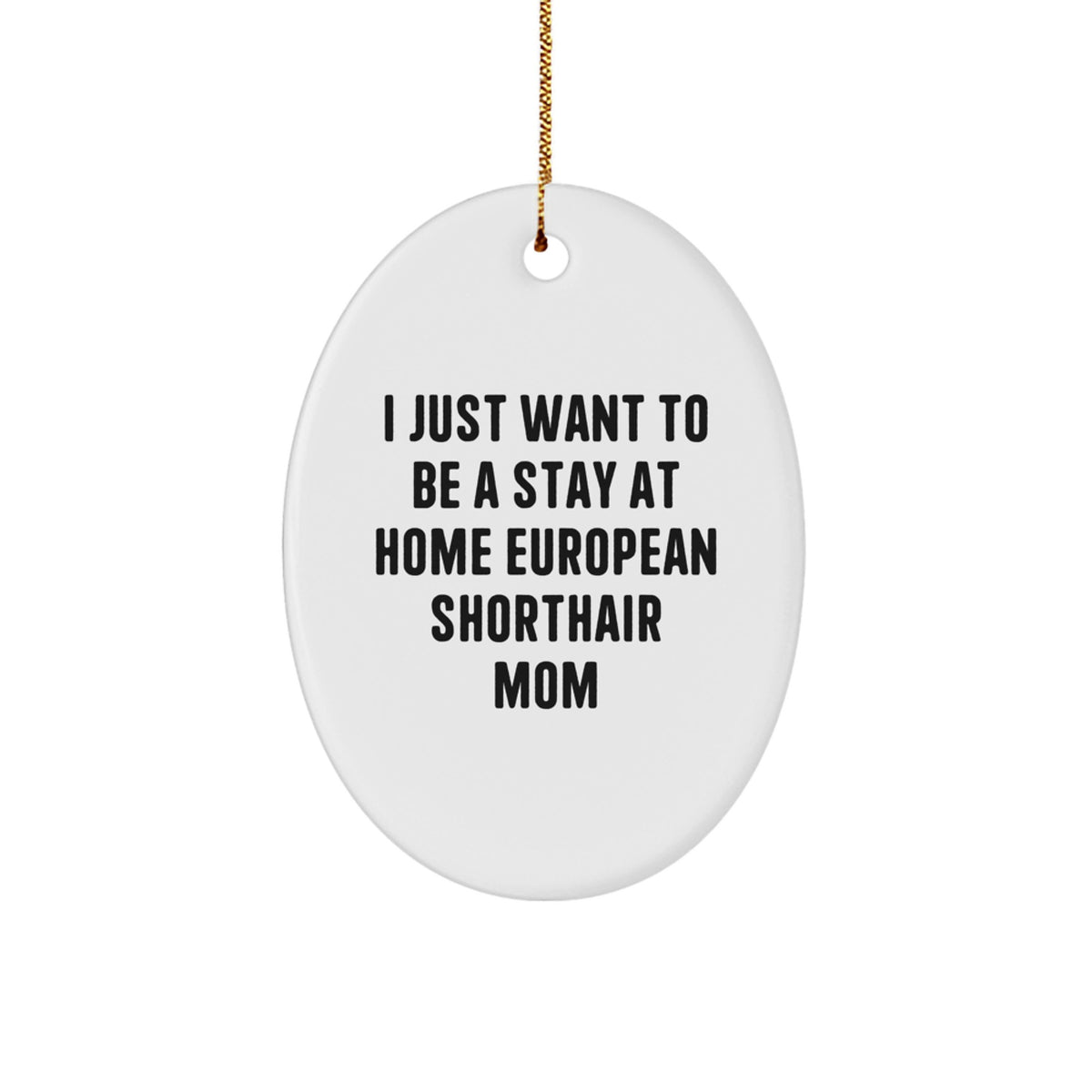 European Shorthair Cat Moms' Funny Christmas Unique Gifts from Friends for Home Decor - Image 1